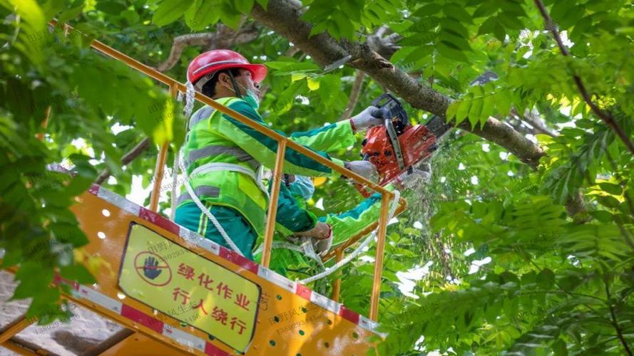 城市园林炫丽外表背后的管理难题！