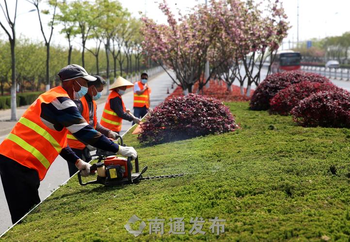 市政园林频遭非法占用，市民呼吁强化执法力度